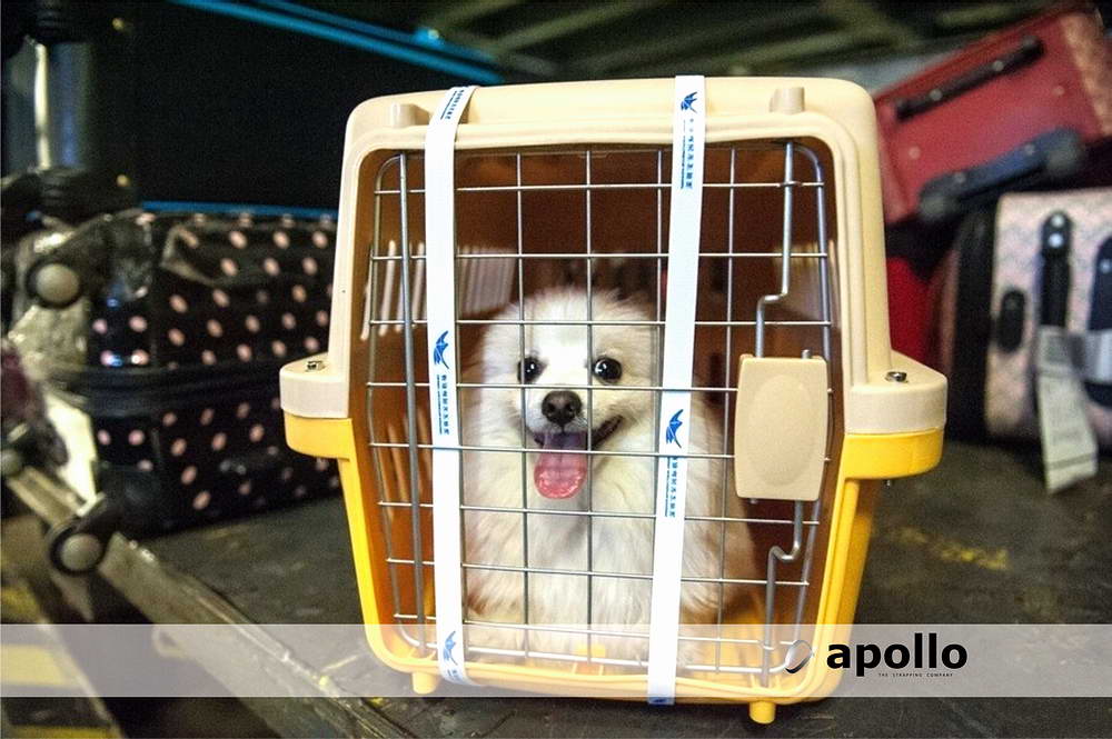 打包带航空运输应用案例 打包带航空运输应用案例